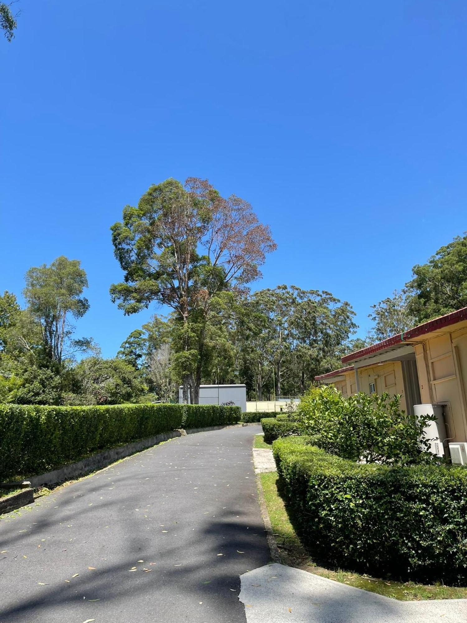 Major Innes Motel Port Macquarie Exterior foto