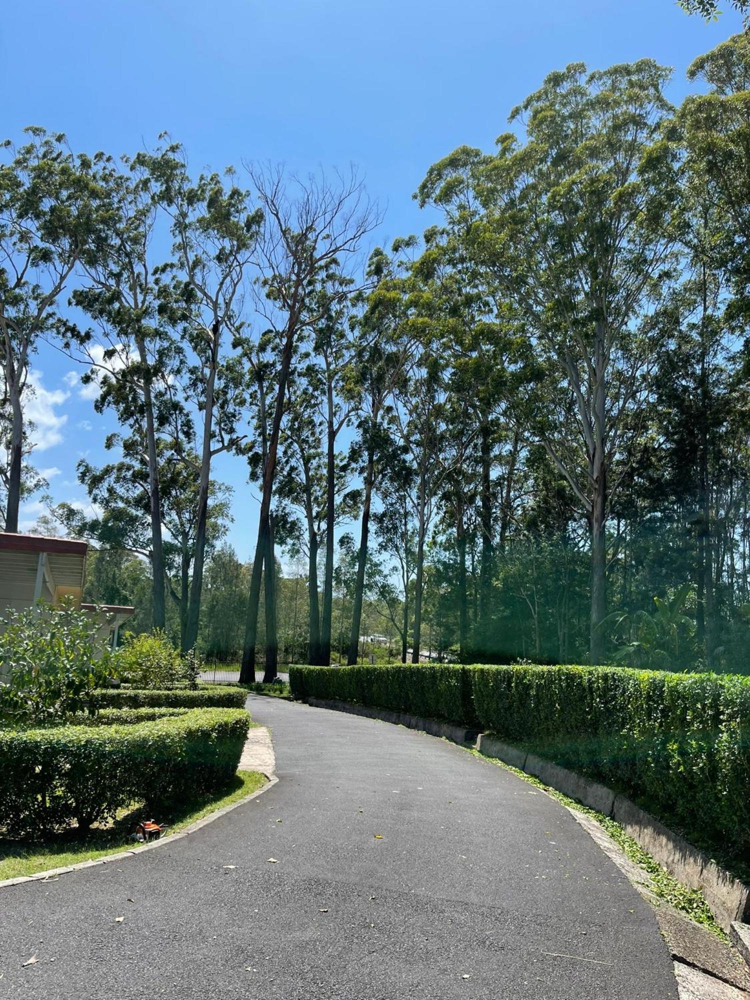 Major Innes Motel Port Macquarie Exterior foto